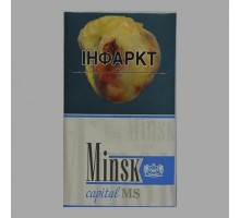 Minsk Capital MS (Минск Капитал МС)